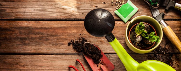 hacer jardin o huerto