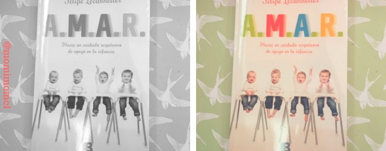 amar-felipe-lecannelier