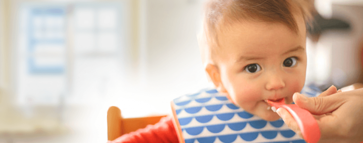 kit alimentacion complementaria